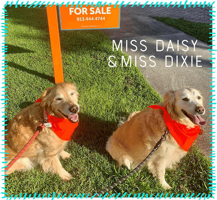 Miss Daisy and Miss Dixie